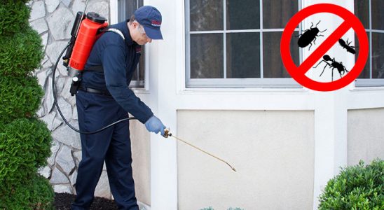 Doğançay Kene İlaçlama böcek ilaçlama ve haşere kontrolü — ilaclama-tr.com